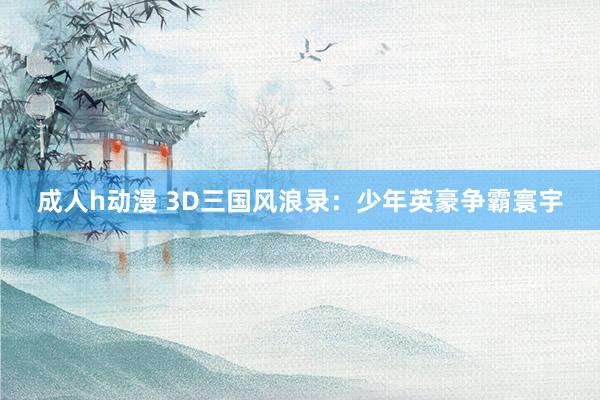 成人h动漫 3D三国风浪录：少年英豪争霸寰宇