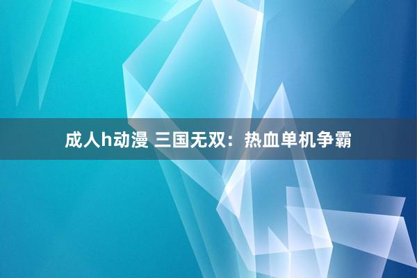 成人h动漫 三国无双：热血单机争霸