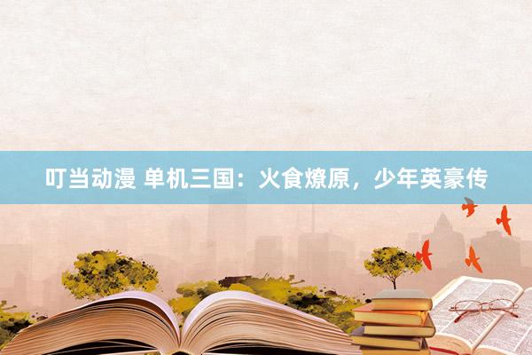 叮当动漫 单机三国：火食燎原，少年英豪传