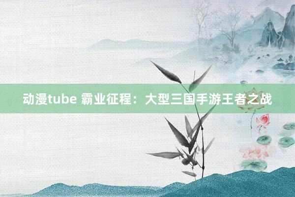 动漫tube 霸业征程：大型三国手游王者之战