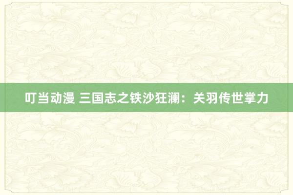 叮当动漫 三国志之铁沙狂澜：关羽传世掌力