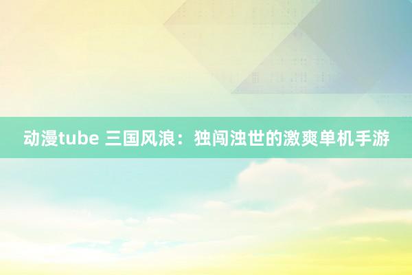动漫tube 三国风浪：独闯浊世的激爽单机手游