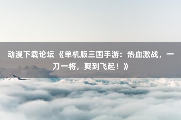 动漫下载论坛 《单机版三国手游：热血激战，一刀一将，爽到飞起！》