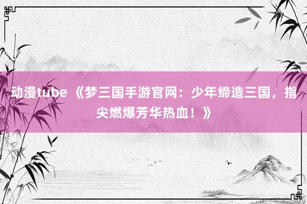 动漫tube 《梦三国手游官网：少年缔造三国，指尖燃爆芳华热血！》