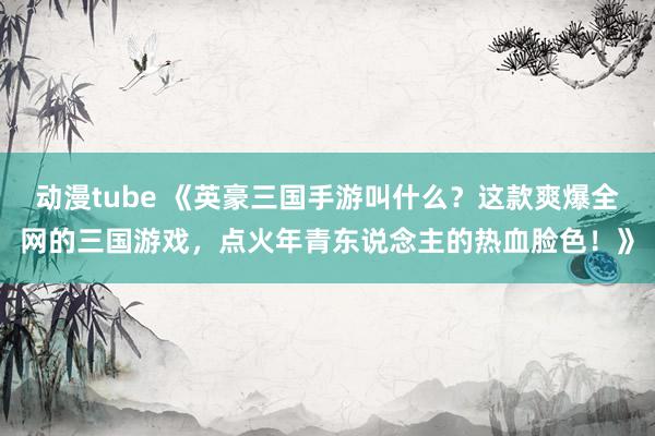 动漫tube 《英豪三国手游叫什么？这款爽爆全网的三国游戏，点火年青东说念主的热血脸色！》