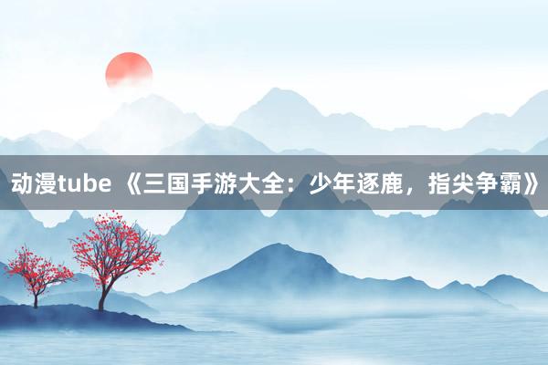 动漫tube 《三国手游大全：少年逐鹿，指尖争霸》