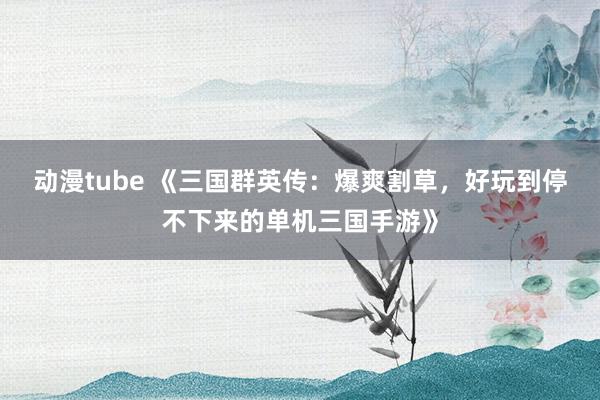 动漫tube 《三国群英传：爆爽割草，好玩到停不下来的单机三国手游》