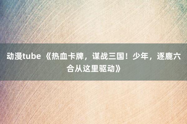 动漫tube 《热血卡牌，谋战三国！少年，逐鹿六合从这里驱动》